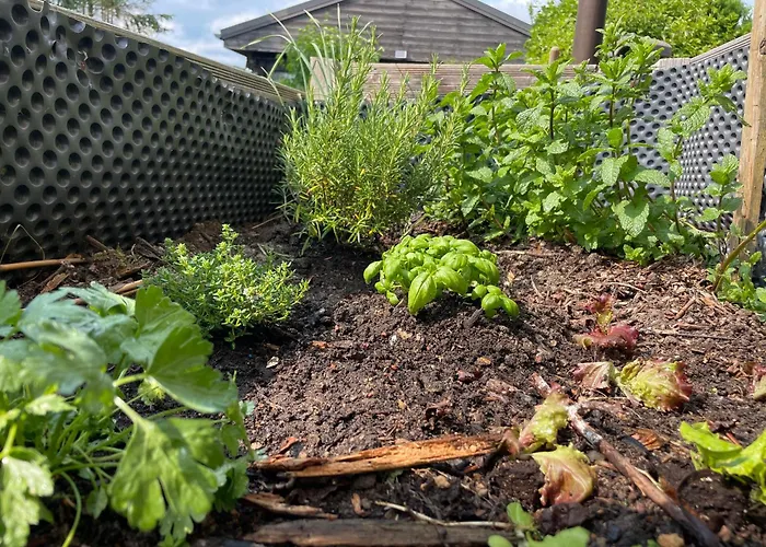 Am Hennesee Feriehus